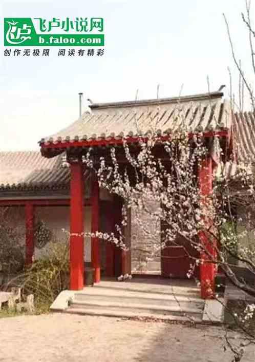 四合院：满级厨师，掀了傻柱饭碗